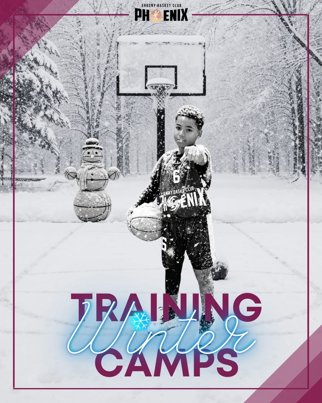 Image de l’article